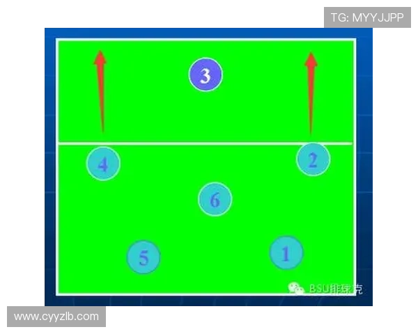 南京排球队战术实力强劲荣登全国第七名引发关注